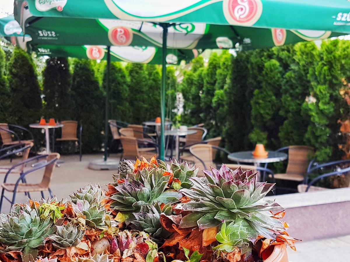 Hotel Pest Inn Budapest Exteriör bild